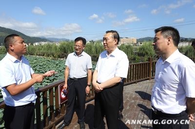 王刚赴石泉调研 聚焦农业园区建设与易地搬迁后扶及旅游管理服务提升